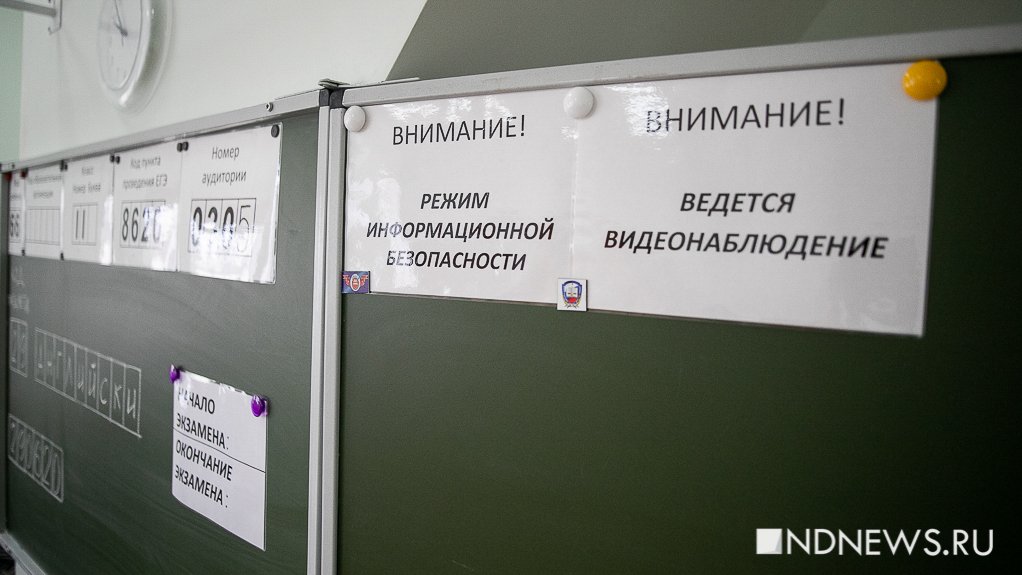 В России активизировались мошенники, продающие ответы на ЕГЭ и ОГЭ